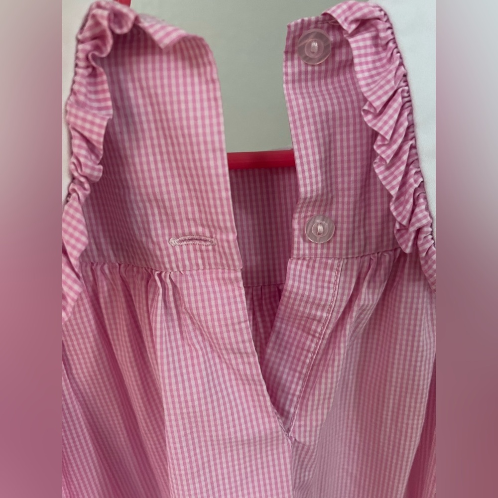 Toddler Pink Gingham Dress with Embroidered Turkey Accents - Picture 4 of 10
